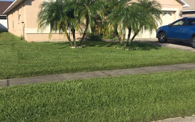 Photo of Shena D.'s yard after getting lawn care in Wyckoff, NJ