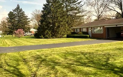 Photo of Camille R.'s yard after getting lawn care in Oxford, OH