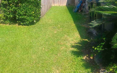Photo of Iesha L.'s yard after getting lawn care in Greenville, NC