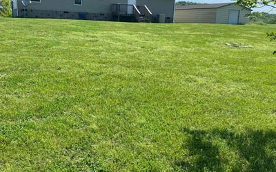 Photo of Brandon C.'s yard after getting lawn care in Rockwood, TN