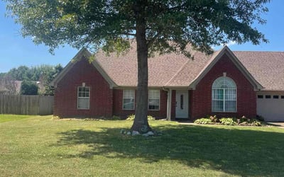 Photo of Katie B.'s yard after getting lawn care in Senatobia, MS