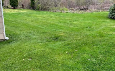 Photo of Thomas B.'s yard after getting lawn care in Uxbridge, MA