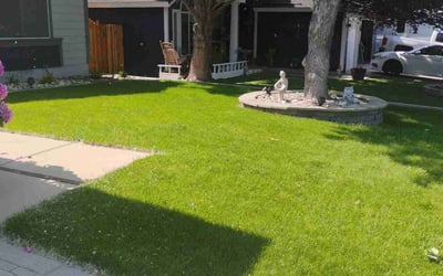 Photo of Reagan W.'s yard after getting lawn care in Raleigh, NC