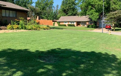 Photo of Misty A.'s yard after getting lawn care in Sand Springs, OK