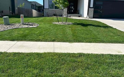 Photo of John C.'s yard after getting lawn care in Urbandale, IA