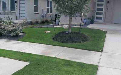 Photo of Journey B.'s yard after getting lawn care in Topeka, KS