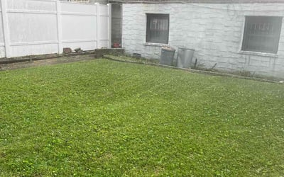 Photo of Christine G.'s yard after getting lawn care in Springfield Gardens, NY
