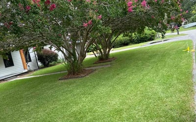 Photo of LaToya S.'s yard after getting lawn care in North Augusta, SC