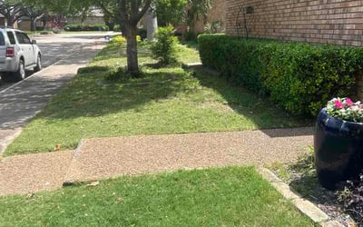 Photo of Linda C.'s yard after getting lawn care in Newport, KY