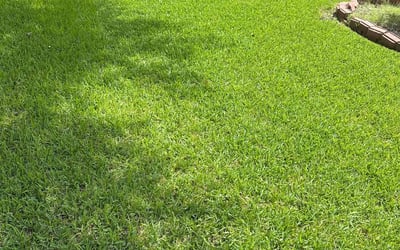Photo of Brenda C.'s yard after getting lawn care in Fernandina Beach, FL