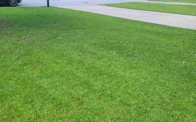 Photo of Shaquana H.'s yard after getting lawn care in Riverview, FL