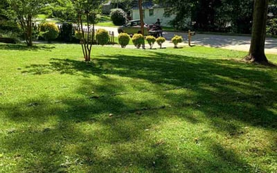 Photo of Sandy W.'s yard after getting lawn care in Decatur, IL