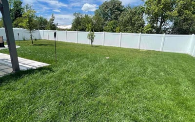 Photo of Branden L.'s yard after getting lawn care in Noblesville, IN
