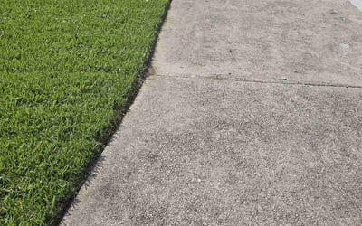 Photo of Ariel G.'s yard after getting lawn care in Decatur, TX