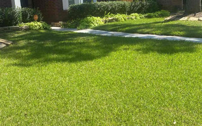 Photo of Ryan O.'s yard after getting lawn care in Saint Paul, MN