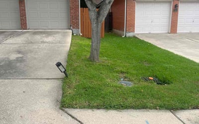 Photo of Latrice J.'s yard after getting lawn care in Bayside, NY