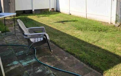 Photo of Shannon R.'s yard after getting lawn care in Hillside, NJ