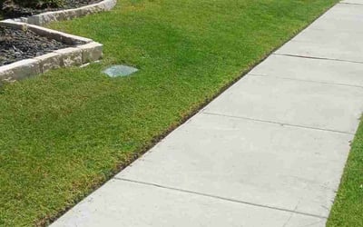Photo of Simone M.'s yard after getting lawn care in Allen, TX
