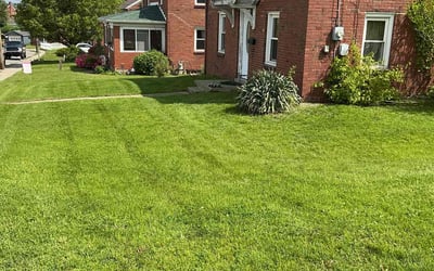 Photo of Daniel M.'s yard after getting lawn care in Southington, CT