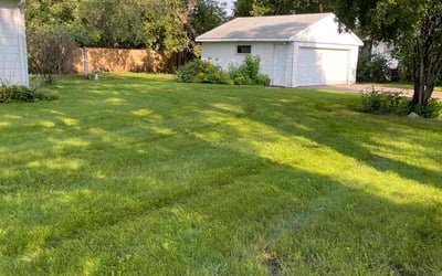 Photo of Chris D.'s yard after getting lawn care in Minneapolis, MN