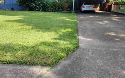 Photo of Susan H.'s yard after getting lawn care in Norcross, GA