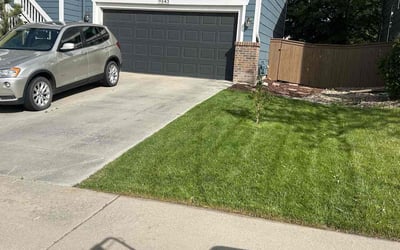 Photo of Steven X.'s yard after getting lawn care in Houston, TX