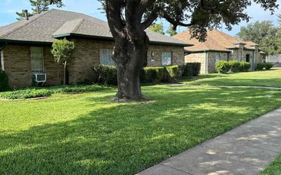 Photo of Rich R.'s yard after getting lawn care in Richardson, TX