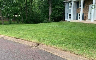 Photo of Nicole G.'s yard after getting lawn care in Madison Heights, MI