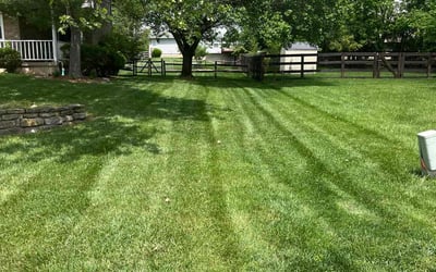 Photo of Sonya Z.'s yard after getting lawn care in Blue Ash, OH