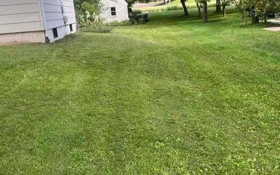 Photo of Michael E.'s yard after getting lawn care in Highland Springs, VA