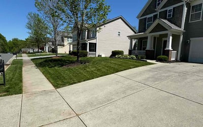 Photo of Tashawn J.'s yard after getting lawn care in Charlotte, NC