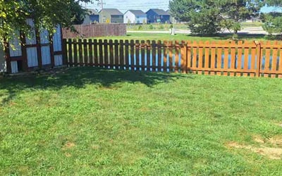 Photo of Leonardo r.'s yard after getting lawn care in Greenwood, IN