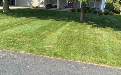 Photo of Jessica F.'s yard after getting lawn care in Kalamazoo, MI