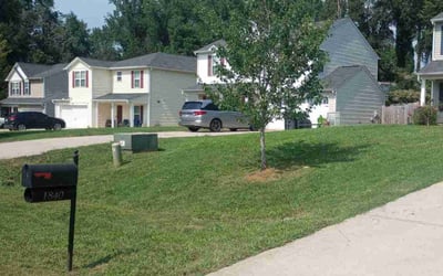 Photo of Marsha L.'s yard after getting lawn care in Iron Station, NC