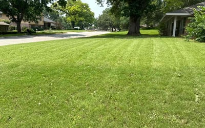 Photo of Brandi B.'s yard after getting lawn care in Minnetonka, MN