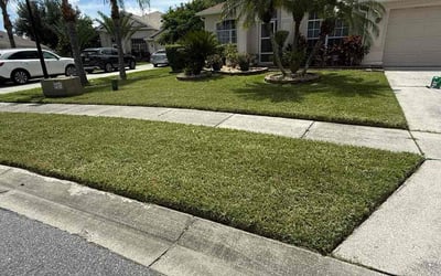 Photo of Tabitha D.'s yard after getting lawn care in Gardner, KS