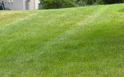 Photo of Jean R.'s yard after getting lawn care in Ann Arbor, MI