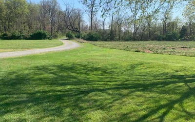 Photo of Heather M.'s yard after getting lawn care in Hagerstown, MD