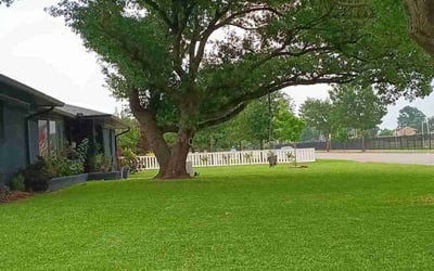 Photo of Jessica C.'s yard after getting lawn care in Lexington, SC