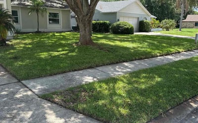 Photo of Charles G.'s yard after getting lawn care in Ozark, MO