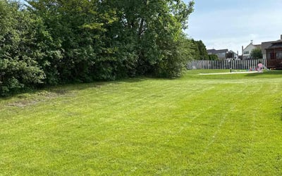 Photo of Jacqueline W.'s yard after getting lawn care in Hazel Crest, IL
