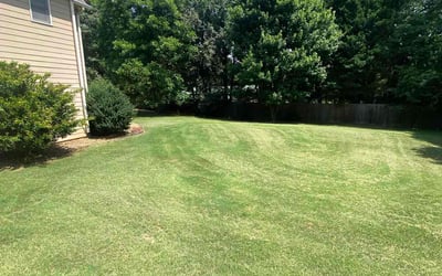 Photo of Shanekqa J.'s yard after getting lawn care in Winder, GA