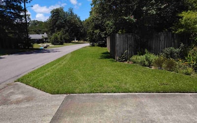 Photo of Laqueisha G.'s yard after getting lawn care in Baton Rouge, LA