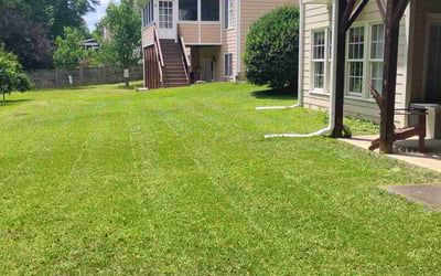 Photo of Lyla S.'s yard after getting lawn care in Zebulon, NC