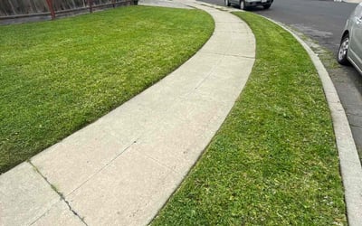 Photo of Benjamin P.'s yard after getting lawn care in Castro Valley, CA