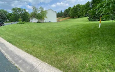 Photo of Loralie H.'s yard after getting lawn care in Chanhassen, MN