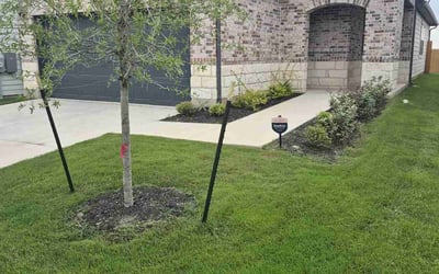 Photo of Joseph P.'s yard after getting lawn care in Milton, MA