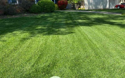 Photo of Daniel L.'s yard after getting lawn care in Cornelius, NC