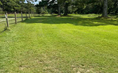 Photo of Catherine P.'s yard after getting lawn care in Lenoir, NC