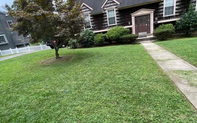 Photo of Steve T.'s yard after getting lawn care in Saddle Brook, NJ